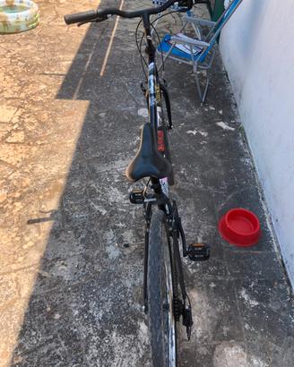 Bicicletta Ricerside 100
