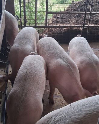 Dal campo alla tavola: sapori genuini d'inverno