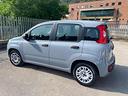 fiat-panda-1-2-easy-gpl