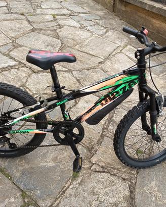 bicicletta bambino