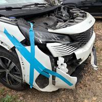 Peugeot 3008 Incidentata