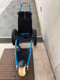 Sedia a rotelle per tutte le attività
