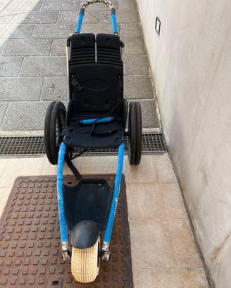 Sedia a rotelle per tutte le attività