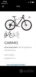 Bici carmo MTB
