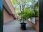 Immagine 28