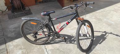 bicicletta