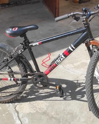 bicicletta