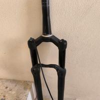 forcella DT swiss 110 