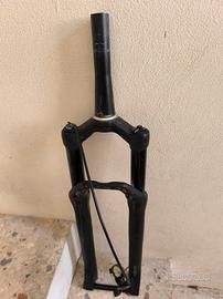 forcella DT swiss 110 