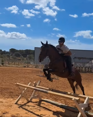 Cavallo