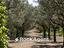 Immagine 29