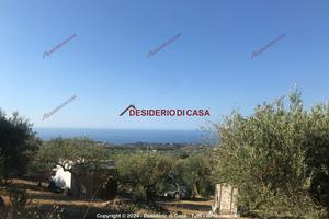 Terreno, Altavilla Milicia.