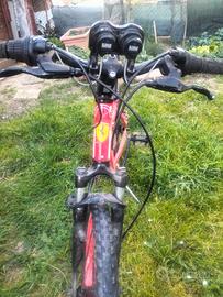 Bicicletta Ferrari cx  30