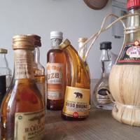 MINI BOTTIGLIE DI LIQUORE