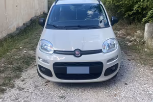 Panda a metano