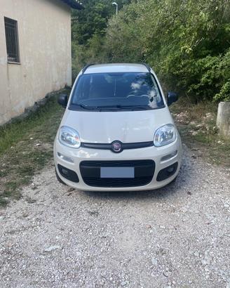 Panda a metano