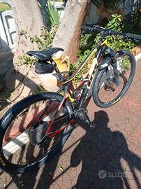 mtb carbonio taglia m