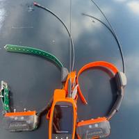 Kit Canicom numaxes palmare più 2 collari