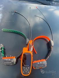 Kit Canicom numaxes palmare più 2 collari