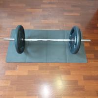 BILANCERE E DISCHI PALESTRA 