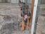 Immagine 3