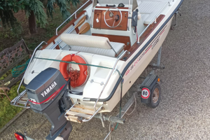 Barca Elan 4.95, con Motore e Carrello