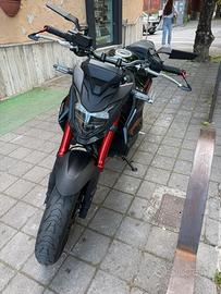 Honda hornet 750