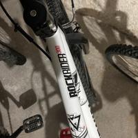 Biciclette varie misure