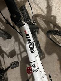 Biciclette varie misure