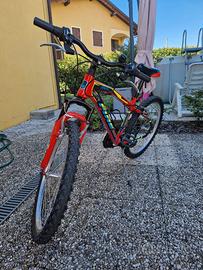 Bicicletta Brera 24"