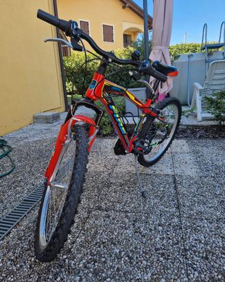 Bicicletta Brera 24"