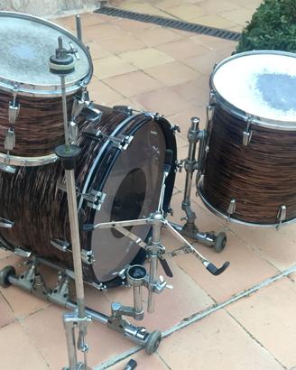 Fran.Co Max Roach (Meazzi Hollywood President)