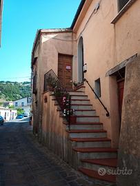 Immobili e Terreno - Via Beneventani