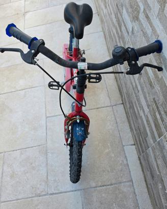 Quad + bici