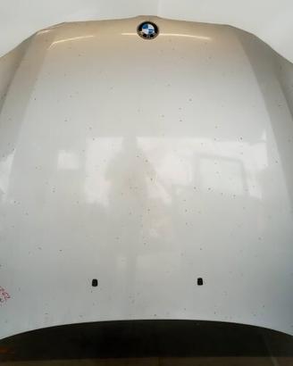 COFANO ANTERIORE BMW Serie 5 (E60/E61) 2004> usato