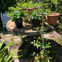 Tavolo cemento per giardino
