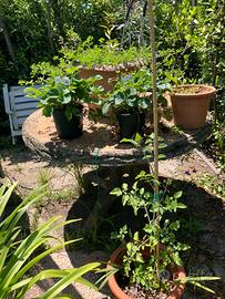 Tavolo cemento per giardino