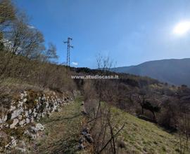PORZIONE DI CASA IMMERSA NEL VERDE