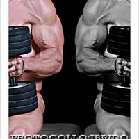 Libro bodyb programma protocollo ibrido hd/zt