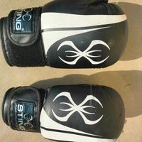 Guanti boxe