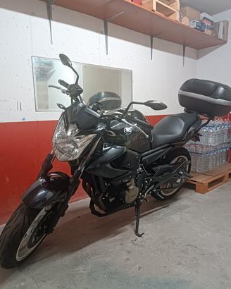 Yamaha XJ6 Depotenziata A2 25kw 