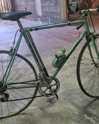 vedita bici