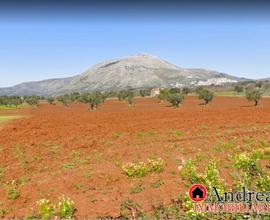 Santa Domenica Talao Terreno Agricolo