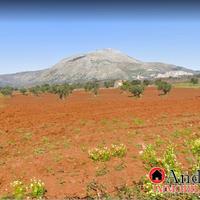 Santa Domenica Talao Terreno Agricolo