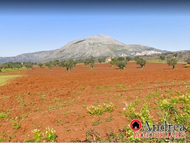 Santa Domenica Talao Terreno Agricolo