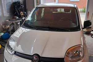 PANDA VAN 2 POSTI DEL 2020 CON 87663 KM CERTIFICAT