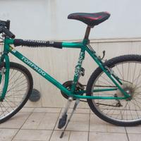 Bicicletta Mountain Bike in buone condizioni