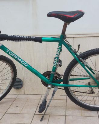 Bicicletta Mountain Bike in buone condizioni