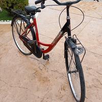 bicicletta da donna 