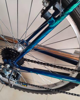 Atala da trecking